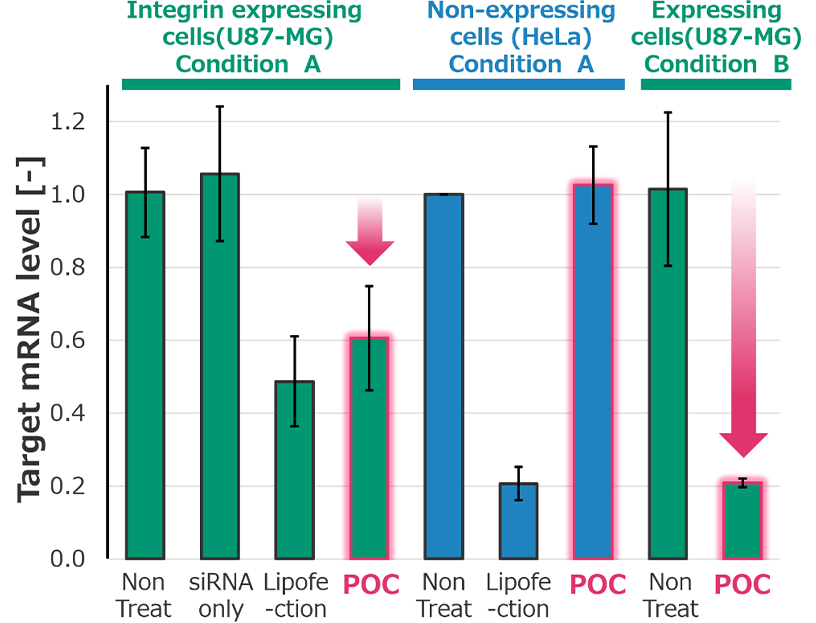 Figure describes knockdown activity of POC, peptide-oligonucleotide conjugate. In the case of integrin expresssing U87-MG cell, use of POC provides the same level of knockdown activity as use of usual transfection method with Lipofection reagent. Onthe other hand, in the case of Hela cell, not expresssing integrin, POC does not effect, indicating POC’s knockdown activity is cell-selective manner. Under another culture conditon, POC gives knockdown efficiency up to 80%.