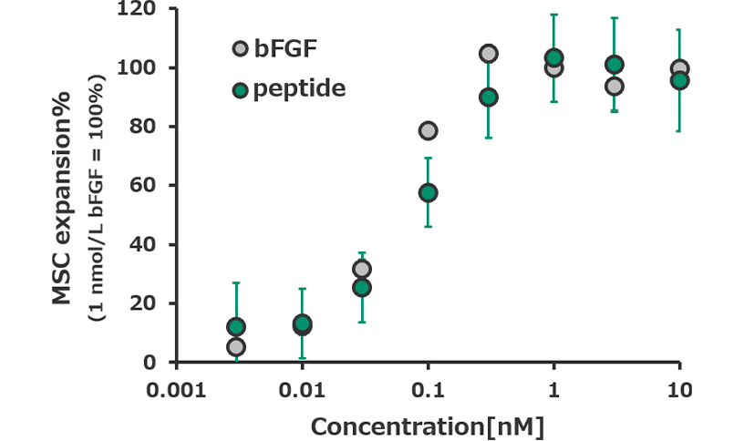 A graph showing that the synthesized peptide dimer exhibits performance comparable to that of the natural growth factor bFGF.