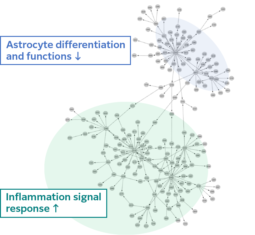 A tree diagram showing gene information correlations. By grouping correlated gene information, this demonstrates the relationship between biological responses and gene information.