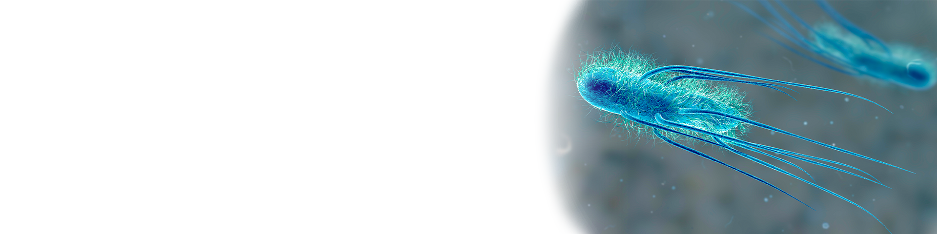Wide hero image featuring of E.coli.