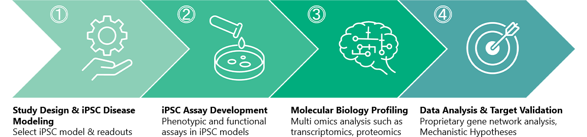 Neuropharmacology drug discovery workflow