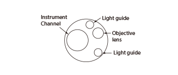 Part of the tip