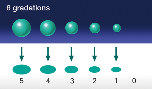 6 gradations