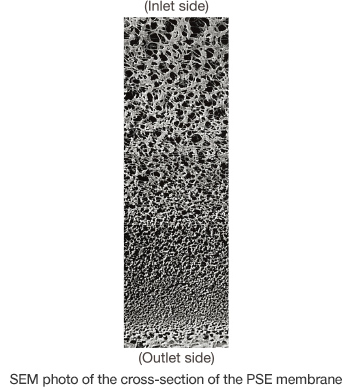 SEM photo of the cross-section of the PSE membrane