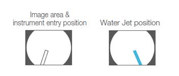 Image area & forceps entry position