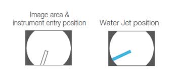 Image area & forceps entry position