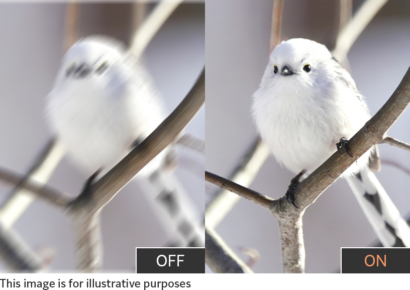 [image] Imagen de rendimiento de corrección de vibración