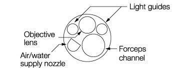 [image] Tip of scope with parts - light guide, forceps channel, objective lens, air/water nozzle, and water jet