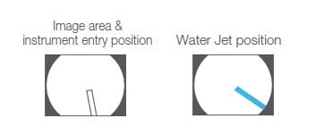 Image area & forceps entry position