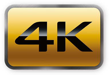 logo 4K