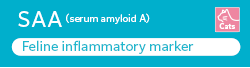 [Image]​ SAA（Serum amyloid A）is inflammatory marker for cat.​