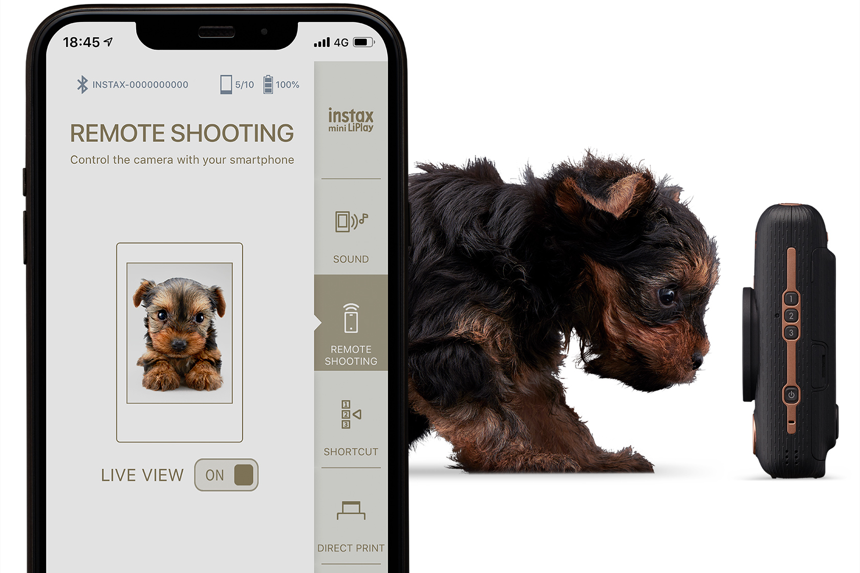 Colagem de um telefone com imagem de um cachorro saindo do telefone e virado para a câmera LiPlay