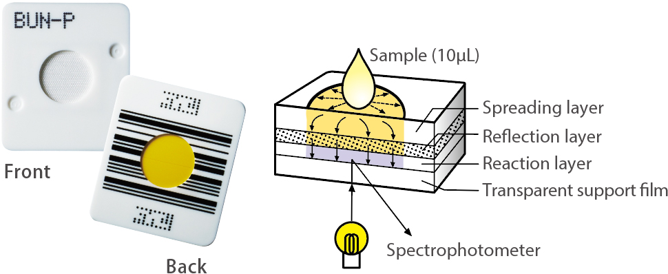[image] DRI-CHEM Slide composition of multilayered film - Spreading layer, Reflection layer, Reaction layer, Transparent support film, and Spectrophotometer
