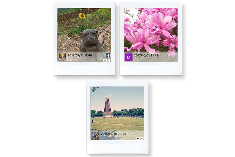Collage of pictures with Social Media Sources displayed