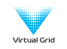 virtual grid image