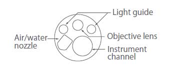 [image] Tip of scope with parts - light guide, lens, water jet, instrument channel