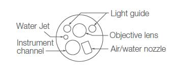 [image] Tip of scope with parts - light guide, lens guide, water jet, instrument channel