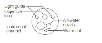[image] Tip of scope with parts - light guide, lens guide, water jet, instrument channel