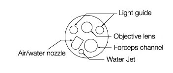 [image] Tip of scope with parts - light guide, forceps channel, objective lens, air/water nozzle, and water jet