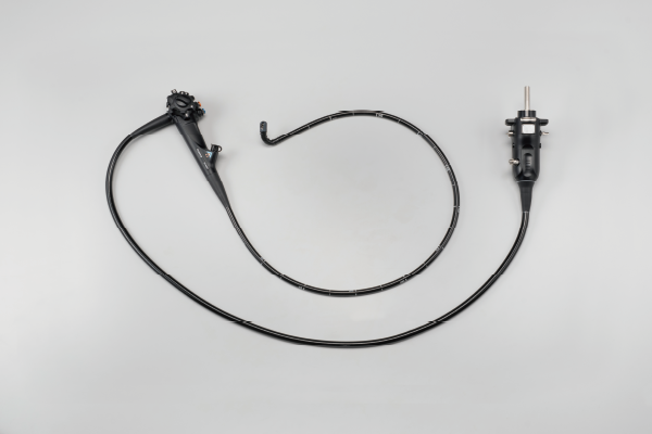 Full view of the endoscope