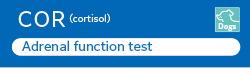 [Image]​ COR（cortisol）is the biomarker for Canine adrenal function test.​
