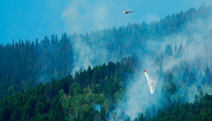 Picture of a burning wood