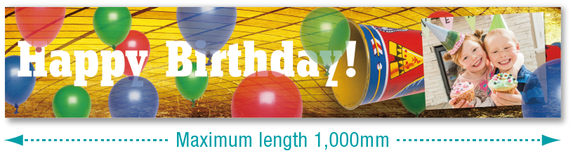Maximum length 1,000mm