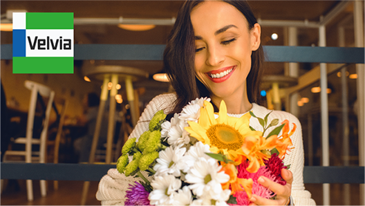 Velvia projection image.