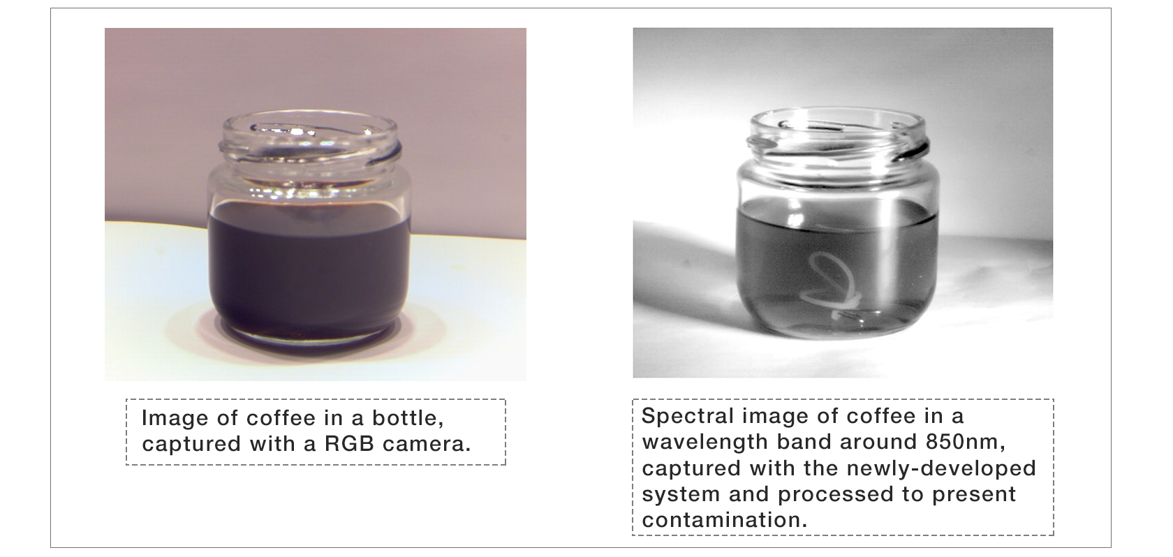 ②Detection of Contamination