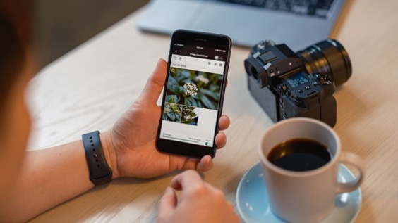 Transferring pictures saved in a camera with the XApp