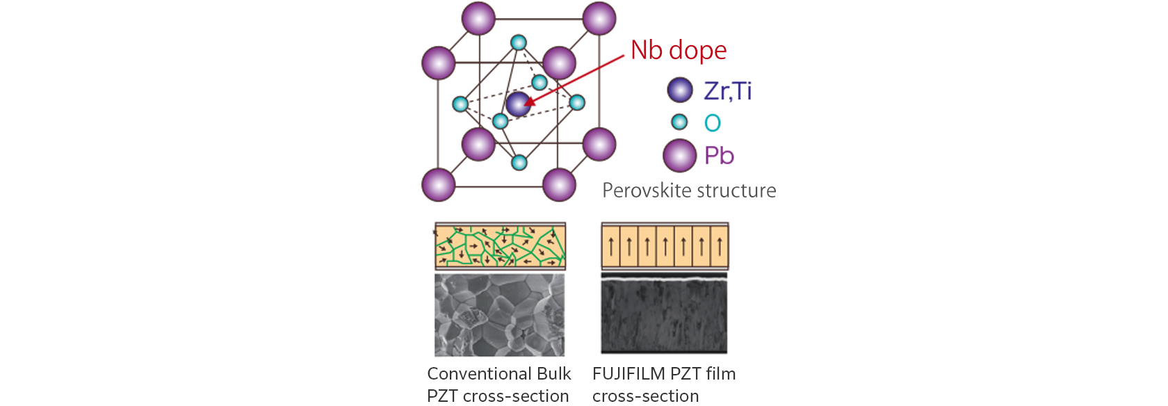 Muestran la estructura cristalina de la PZT con dopaje Nb, imágenes SEM transversales de productos a granel convencionales, membranas finas Fujifilm y esquema de dirección de polarización. La PZT con dopaje Nb tiene niobio en el centro de la red cristalina, en lugar de circonio o titanio. La estructura de nuestra membrana fina está formada por columnas cristalinas en la dirección del grosor del recubrimiento, con polarización alineada en dicha dirección, no como los productos a granel.