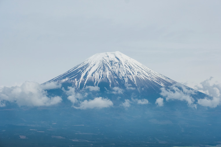 豊かな自然環境が魅力の静岡。