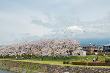 瀬戸川