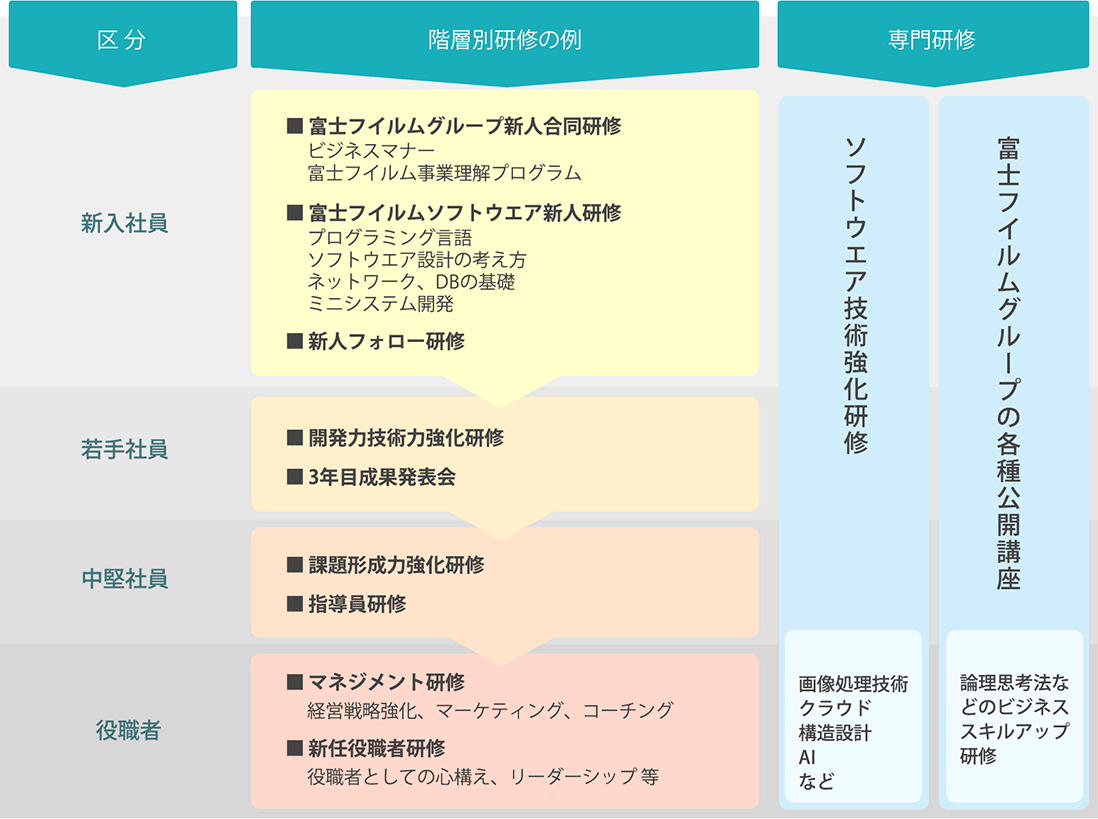 教育制度の概要を示す図表。2年目以降の階層別研修として、若手社員には開発力技術力強化研修や3年目成果発表会、中堅社員には課題形成力強化研修や指導員研修、役職者にはマネジメント研修と新任役職者研修が実施される。専門研修としてはソフトウェア技術強化研修（画像処理技術、クラウド、構造設計、AI等）や富士フイルムグループの各種公開講座、論理思考法などのビジネススキルアップ研修が用意されている。新人社員向けの合同研修やプログラミング基礎研修、フォロー研修も含まれている。
