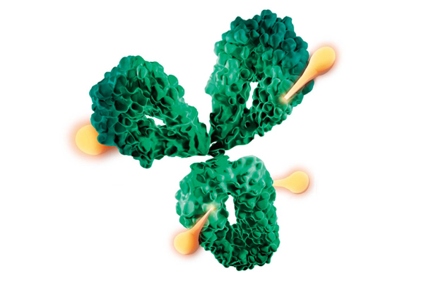 Schematic diagram of ADC