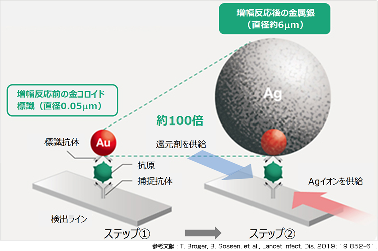 画像:今回提供する抗原検査キットに応用した富士フイルムの「銀増幅技術」