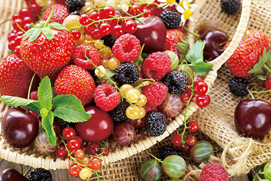 Image d’impression haute résolution