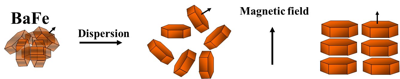 BaFe PArticle Orientation