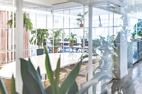 ENVIRONMENT
