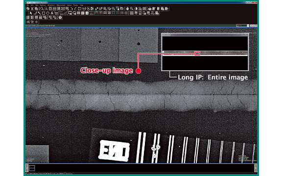 Long IP: Entire image Close-up image