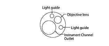 Part of the tip