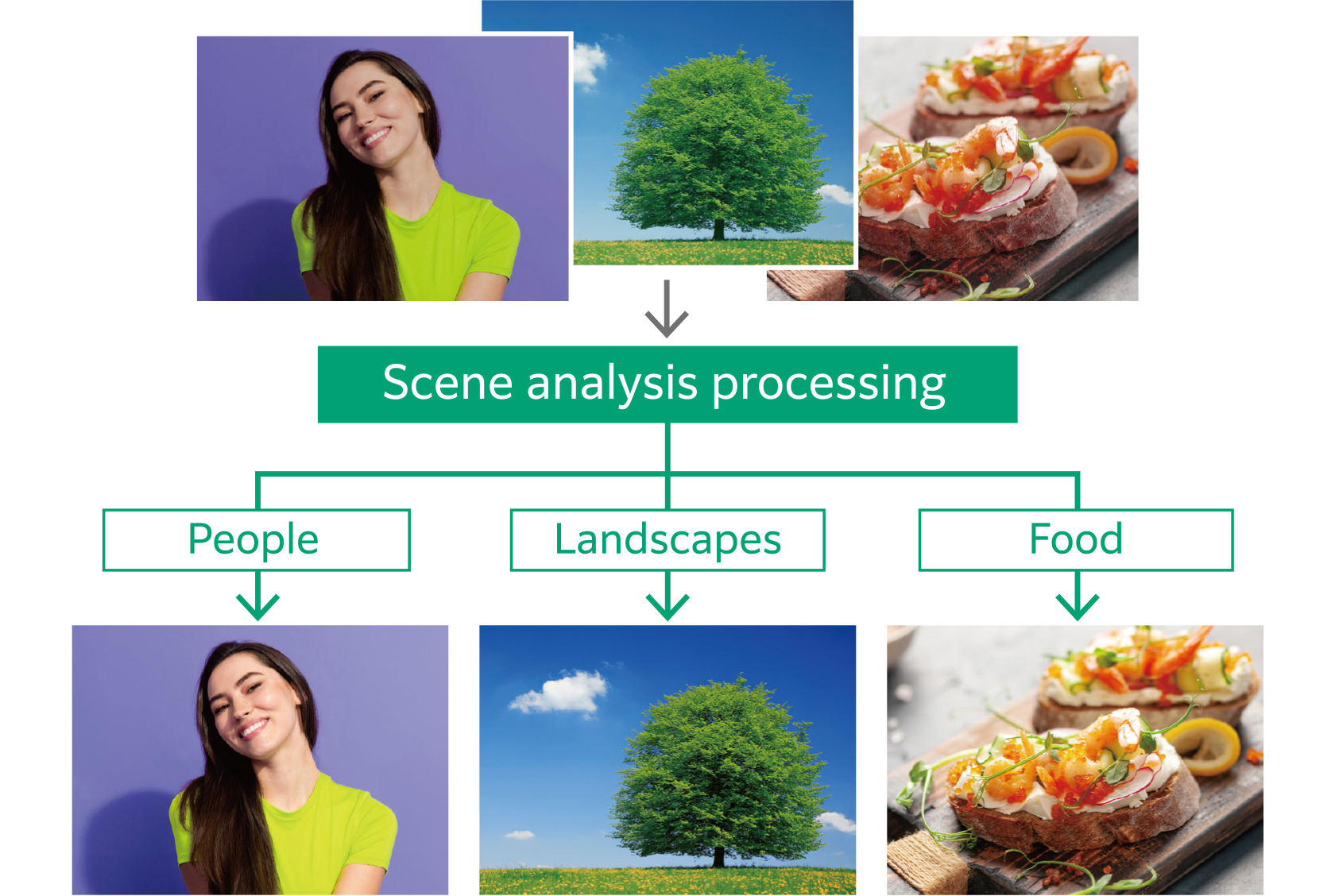Three sample images in 3 categories portrait/landscapes/food: person in green shirt, large tree in field, gourmet shrimp-topped appetizers on wooden board.