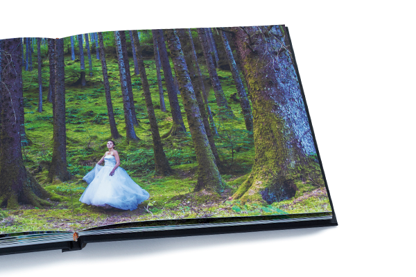FUJIFILM Album Papers