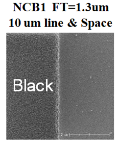 Black Resolution