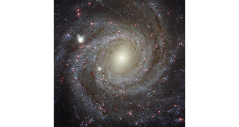 渦巻銀河 NGC 3344 Credit: ESA/Hubble, NASA