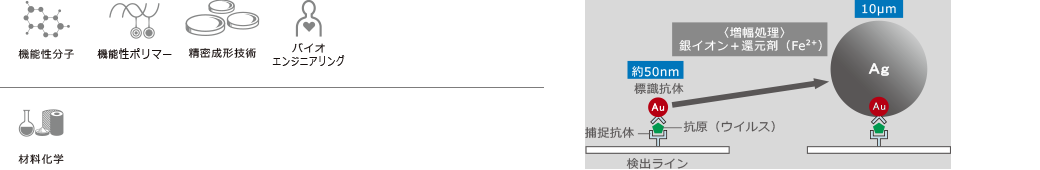 機能性分子 機能性ポリマー 精密成型技術 バイオエンジニアリング 材料化学