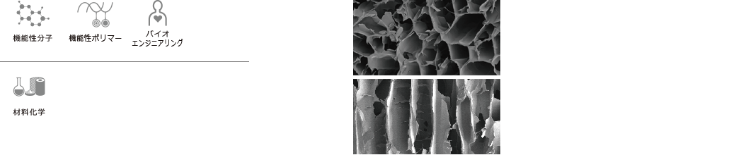 機能性分子 機能性ポリマー バイオエンジニアリング 材料化学