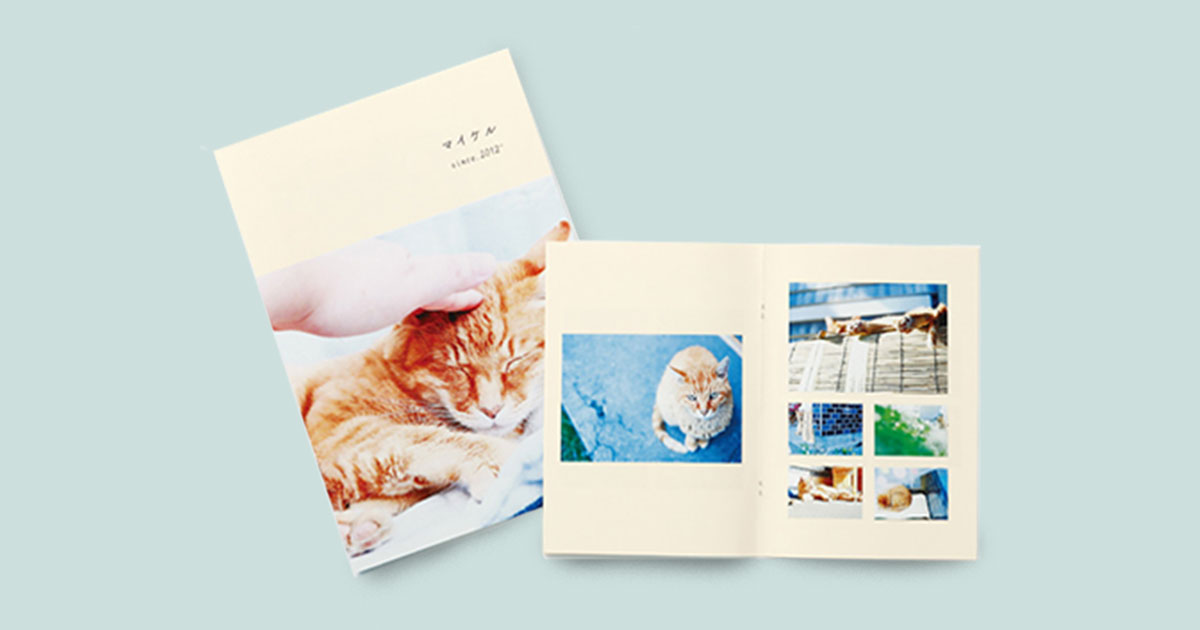 M フォトブック10冊 BOOKタイプ｜PhotoZINE（フォトジン）｜富士フイルムのフォトブック