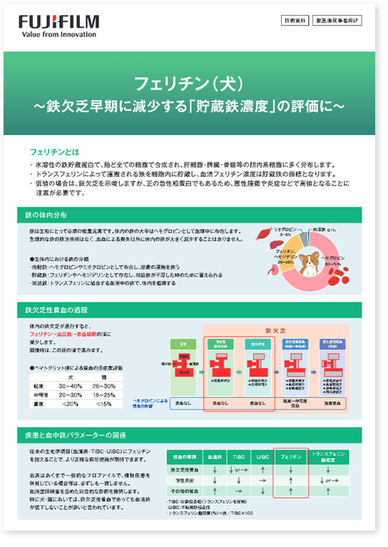 ダウンロードファイルイメージ