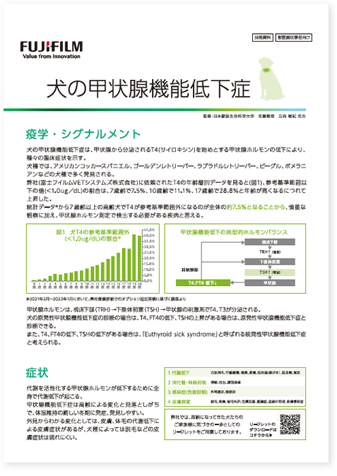 ダウンロードファイルイメージ